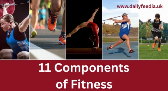 11 components of fitness