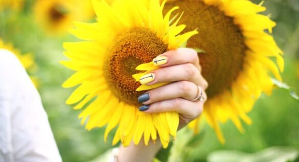 Sunflower Nails Design 2026 Sunflower nails design in 2026